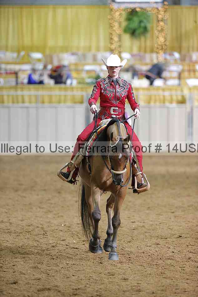 Proof 14usn_12625