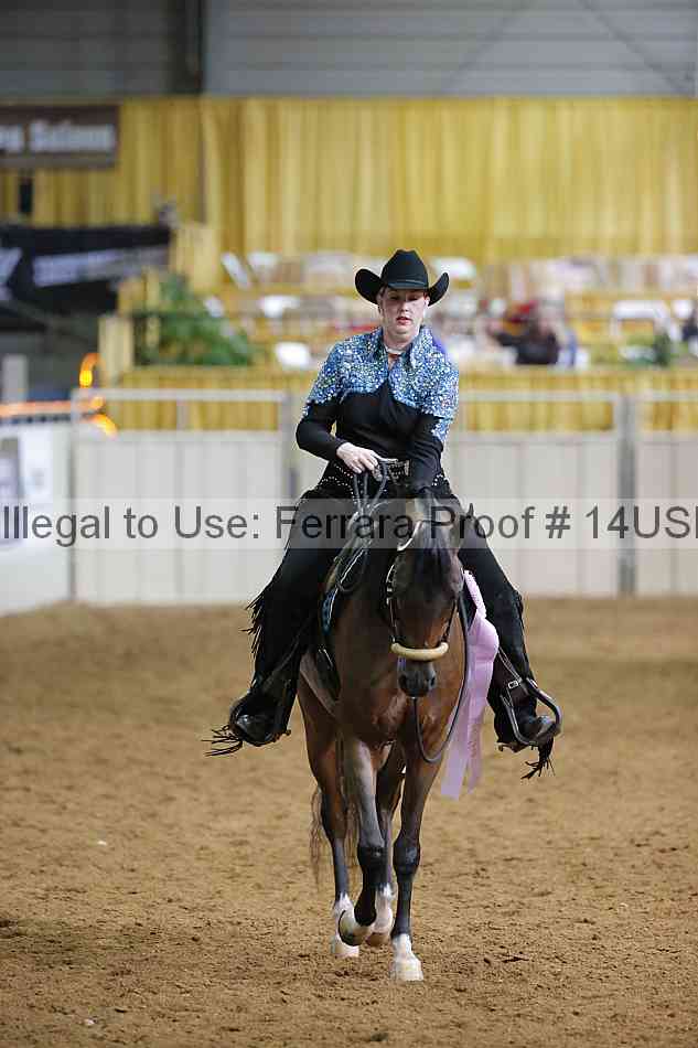 Proof 14usn_12638