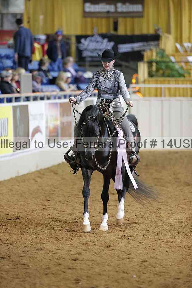 Proof 14usn_12641