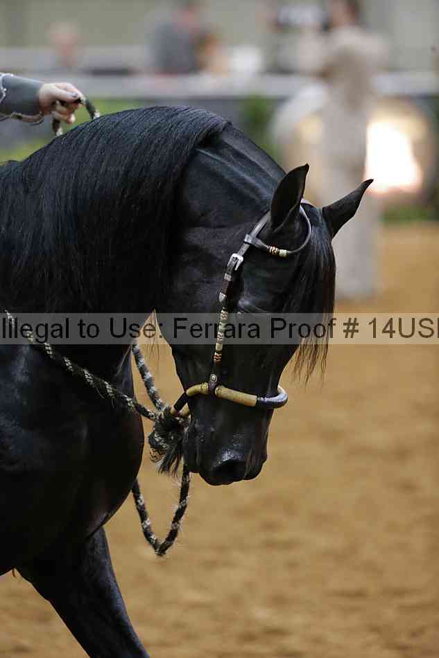 Proof 14usn_12647