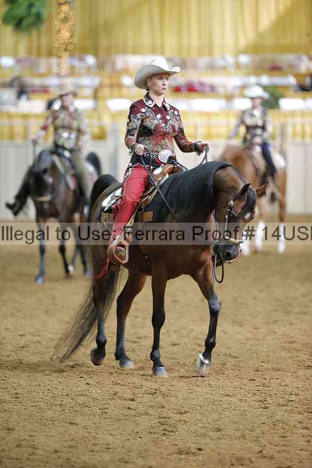 Proof 14usn_12665