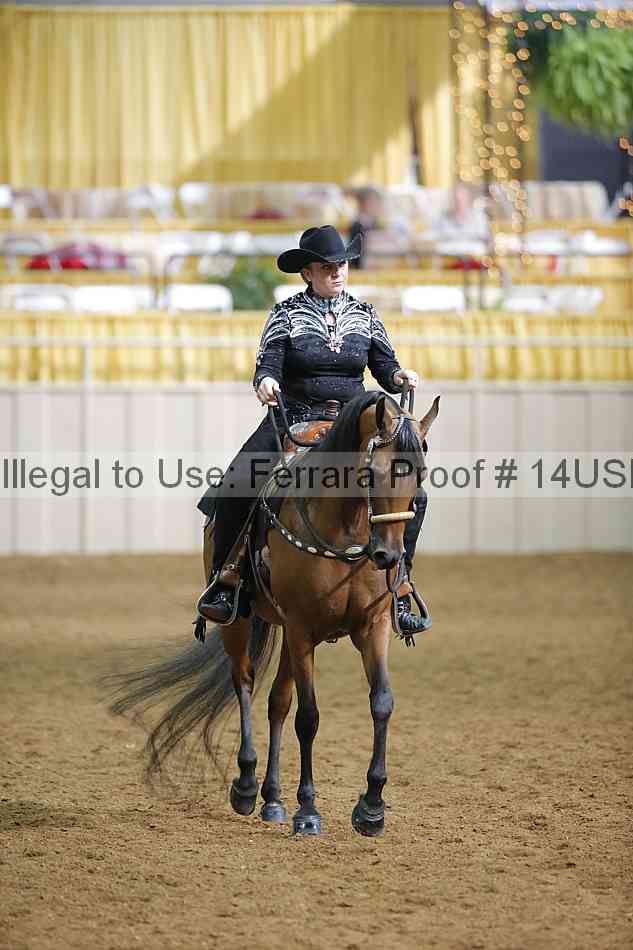 Proof 14usn_12679