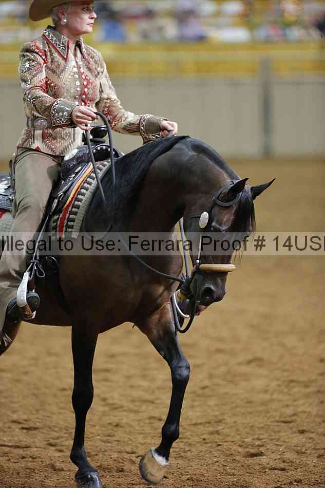 Proof 14usn_12689