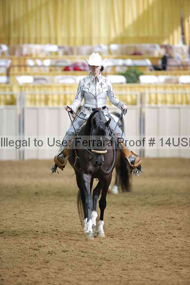 Proof 14usn_12696