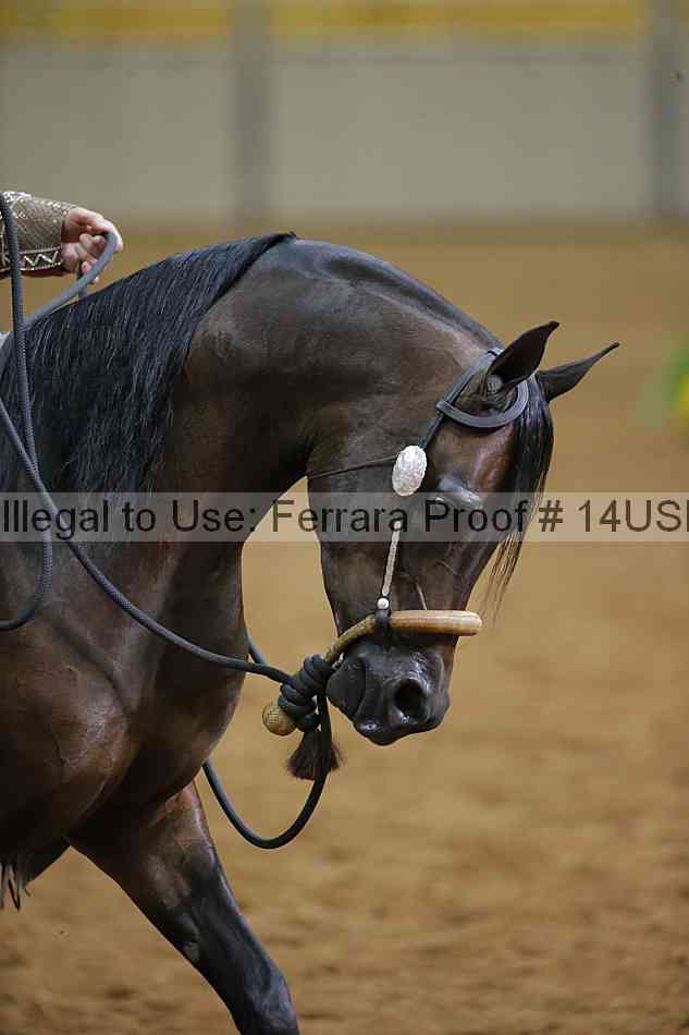 Proof 14usn_12713