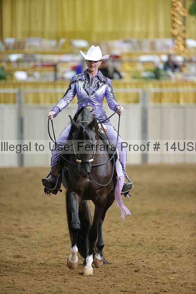 Proof 14usn_12737