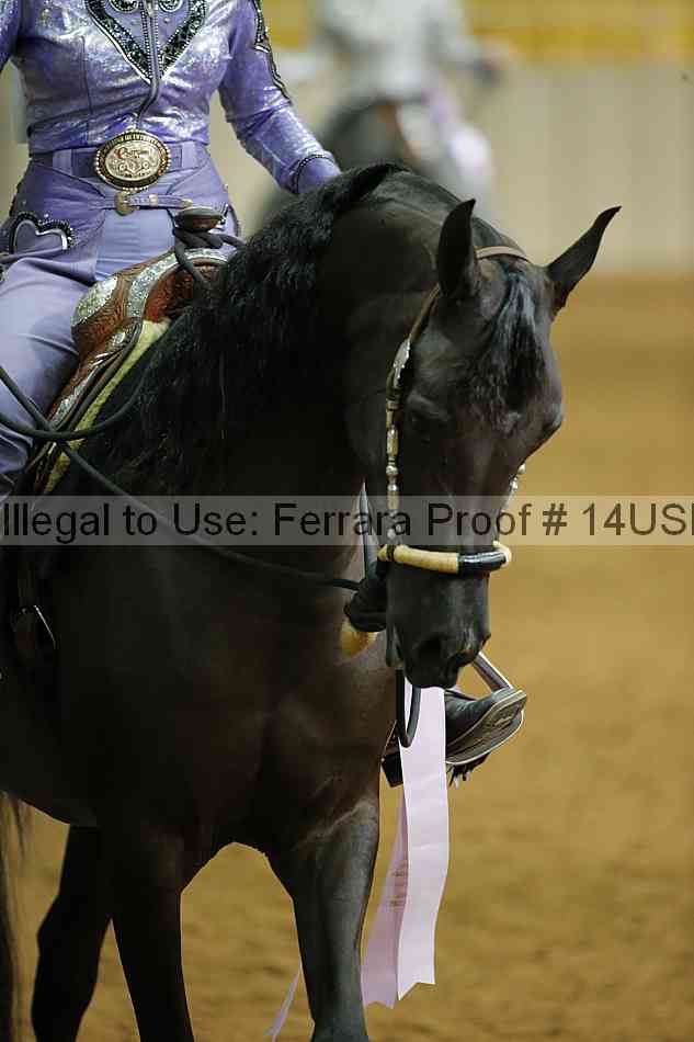 Proof 14usn_12741