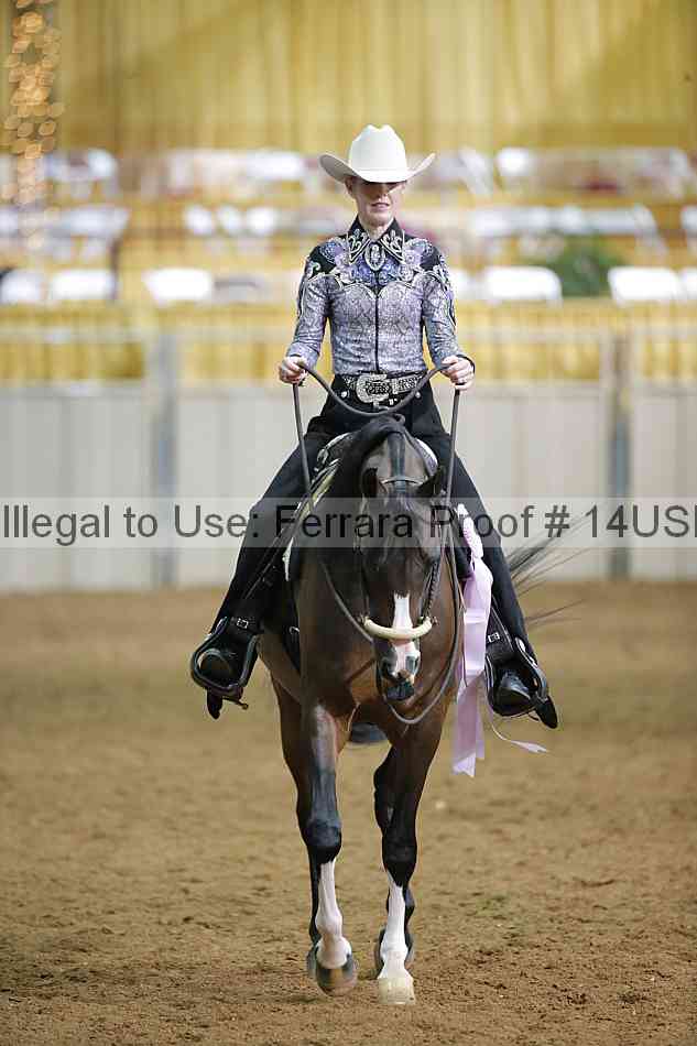 Proof 14usn_12746