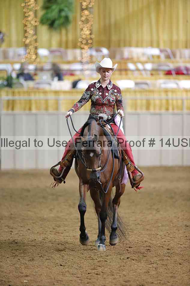 Proof 14usn_12749