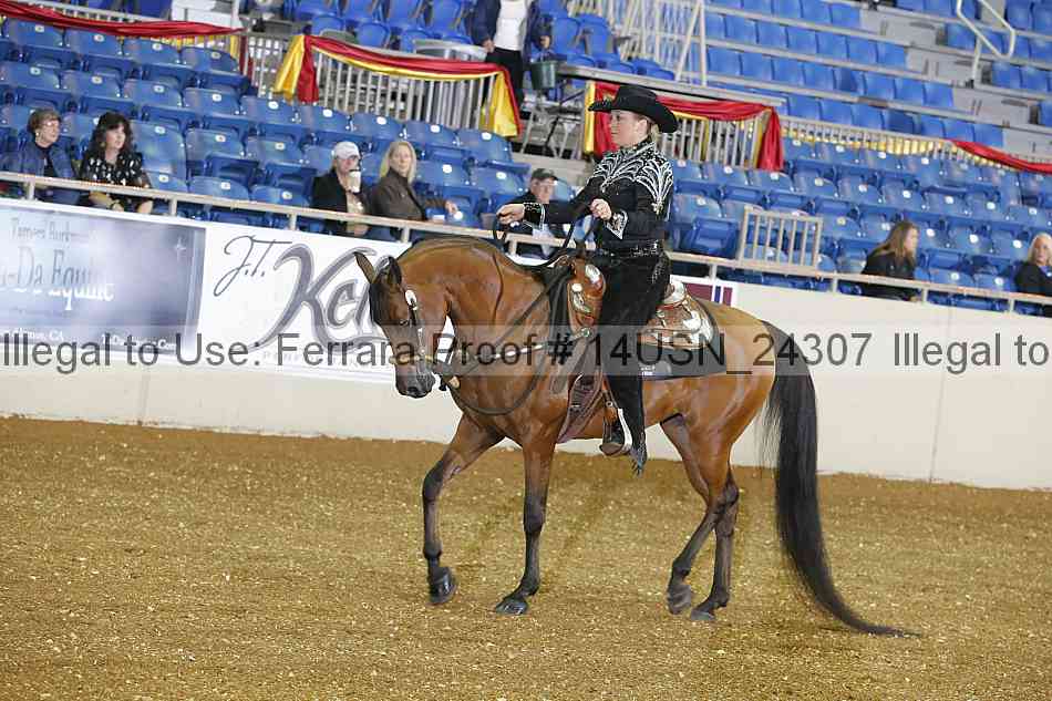 Proof 14usn_24307