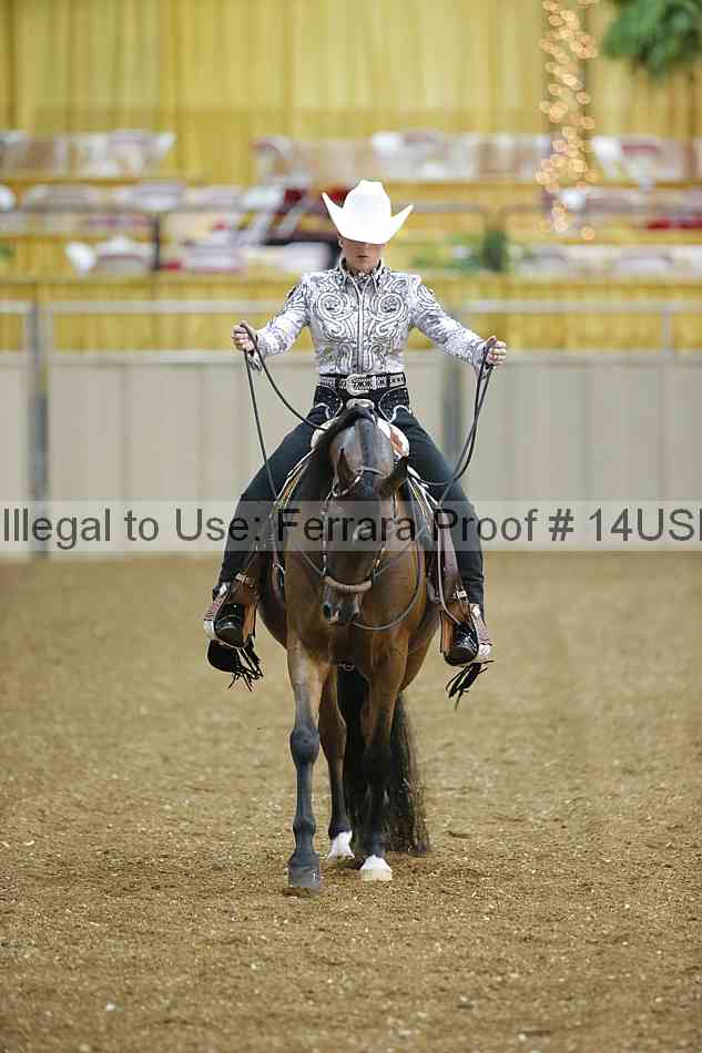 Proof 14usn_24322