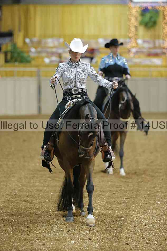 Proof 14usn_24328