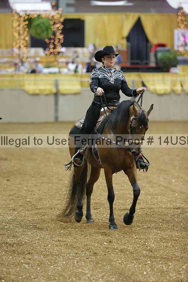Proof 14usn_24347
