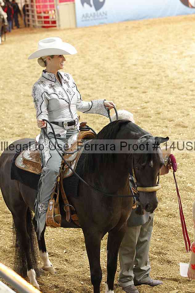 Proof 14usn_24365