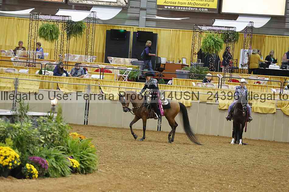 Proof 14usn_24396