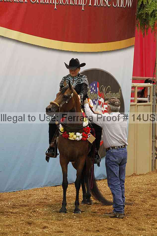 Proof 14usn_24410