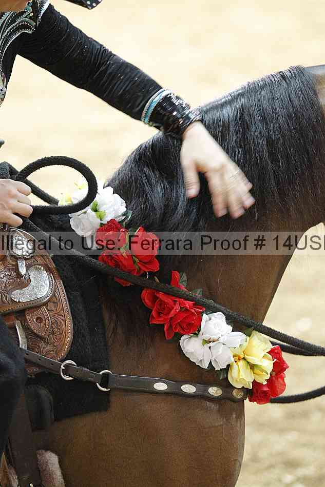 Proof 14usn_24413
