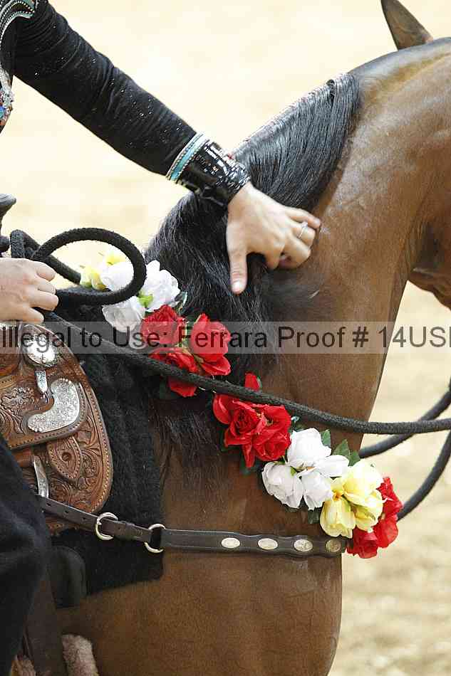 Proof 14usn_24414
