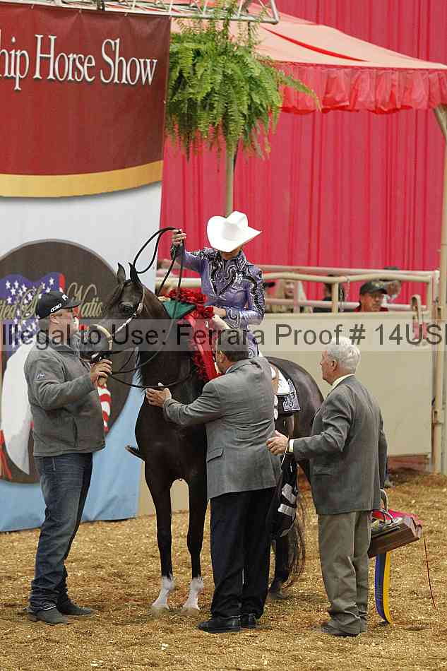 Proof 14usn_24431