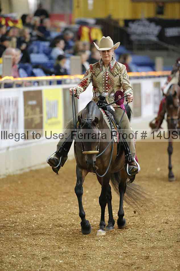 Proof 14usn_24466