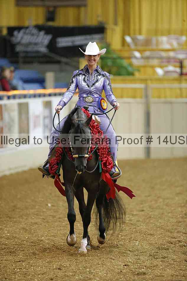 Proof 14usn_24516
