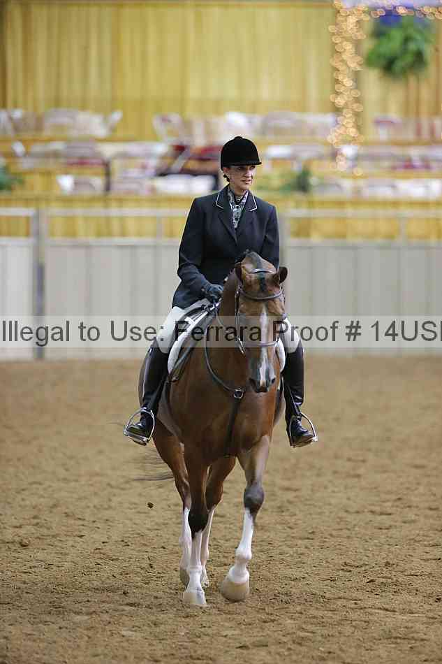 Proof 14usn_06331