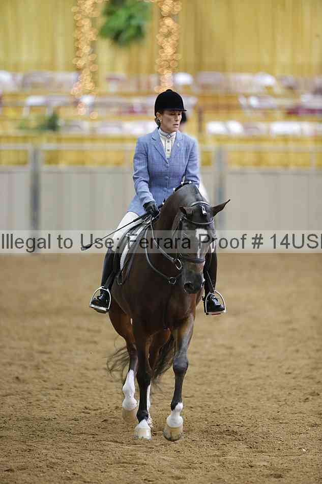 Proof 14usn_06333