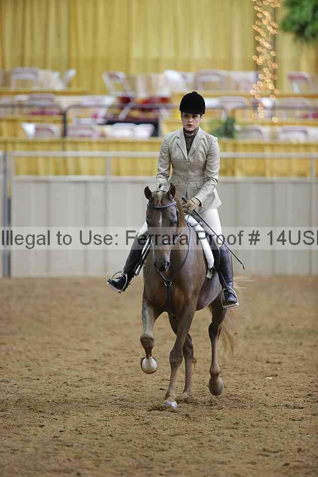 Proof 14usn_06336