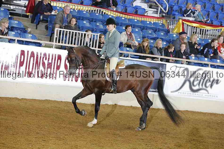Proof 14usn_06344