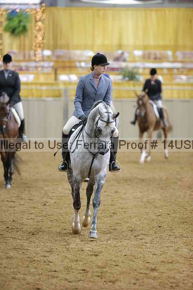 Proof 14usn_06345