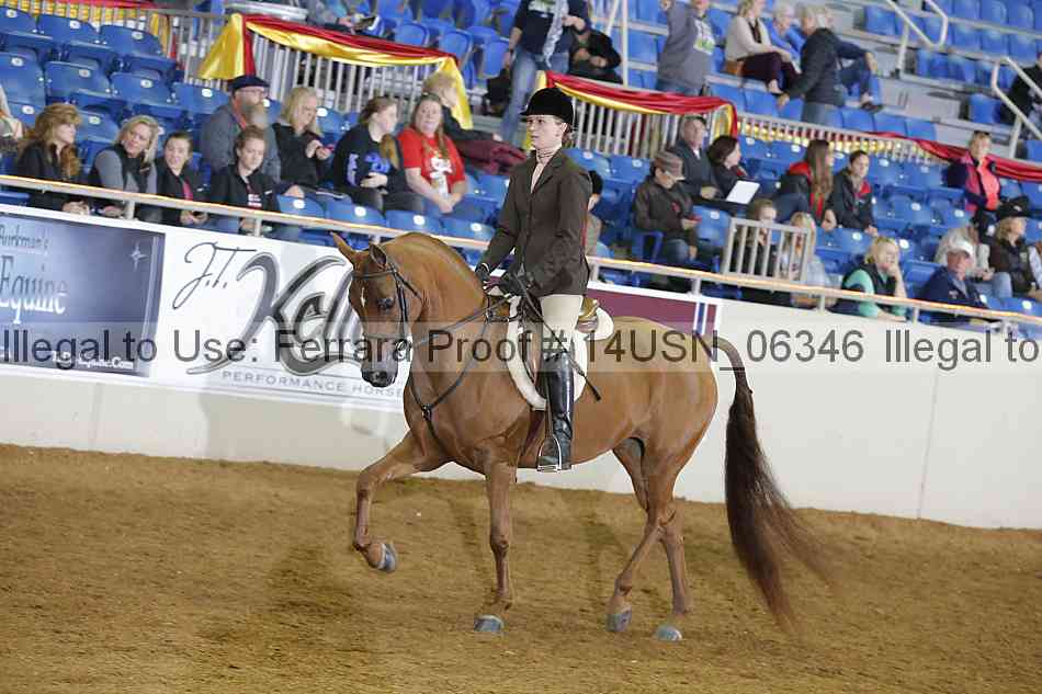 Proof 14usn_06346