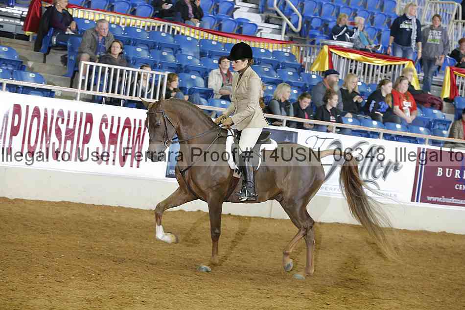 Proof 14usn_06348