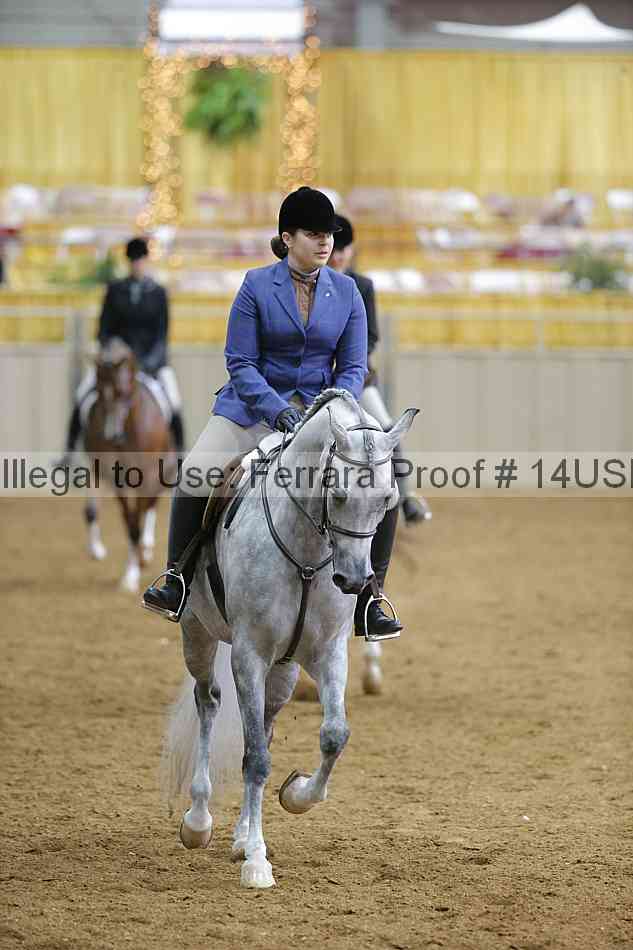 Proof 14usn_06349