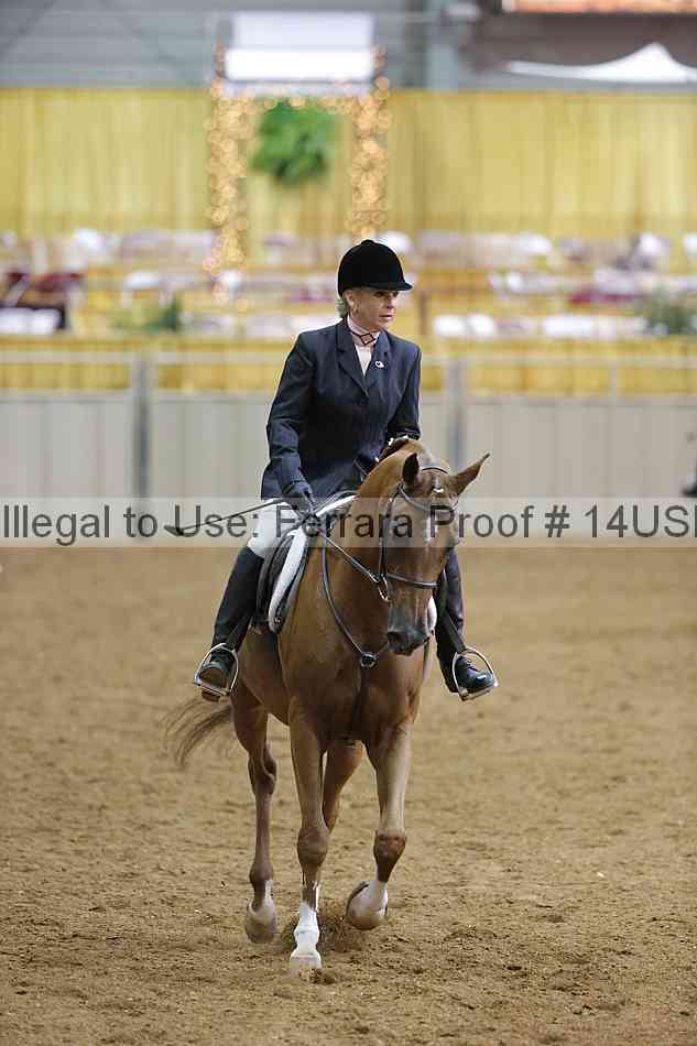 Proof 14usn_06351
