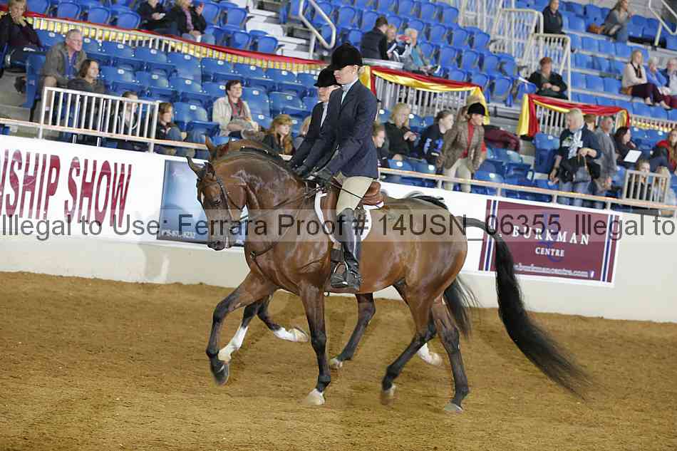 Proof 14usn_06355