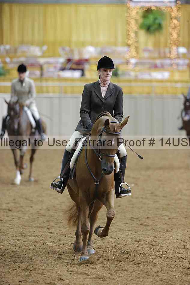 Proof 14usn_06356
