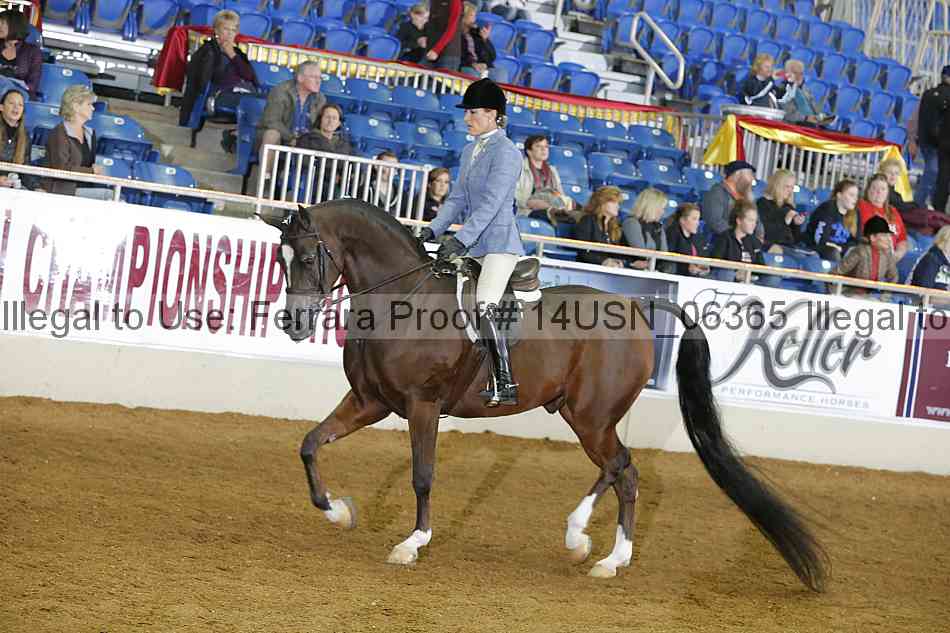 Proof 14usn_06365