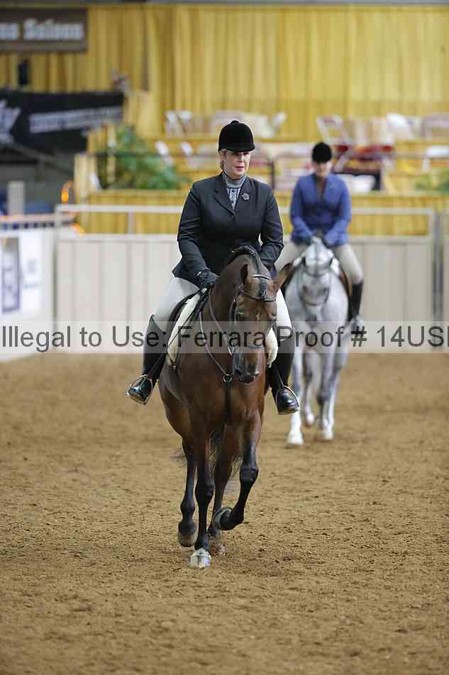 Proof 14usn_06367