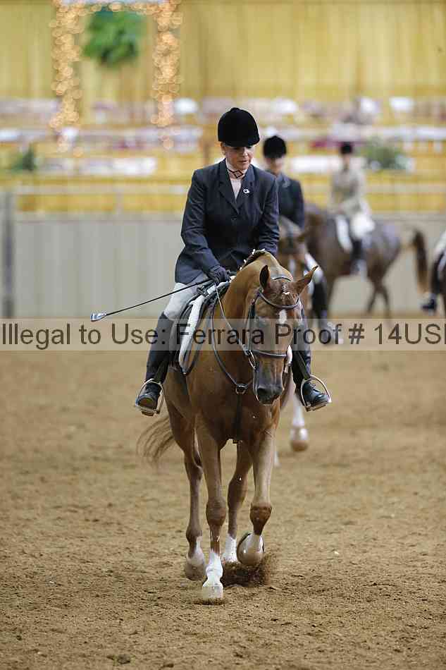Proof 14usn_06376
