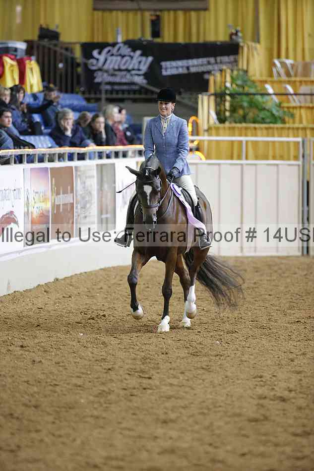 Proof 14usn_06377