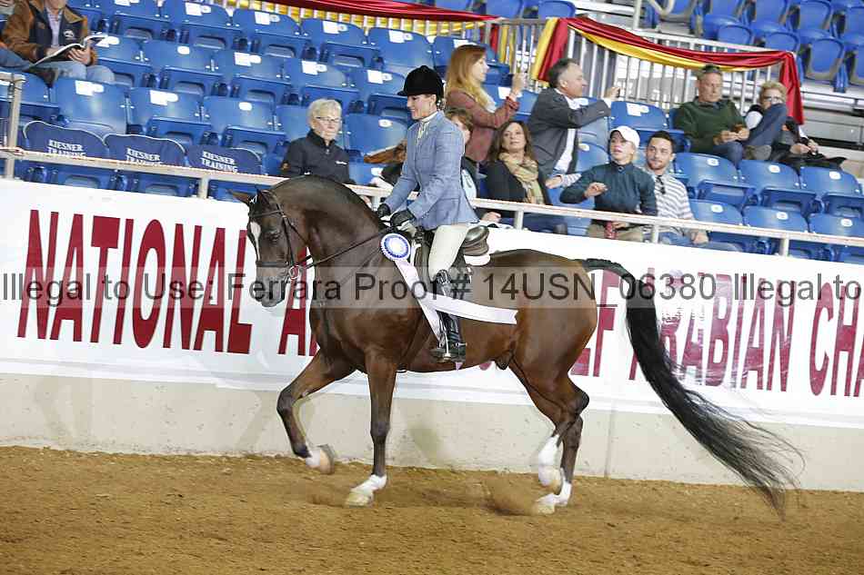 Proof 14usn_06380
