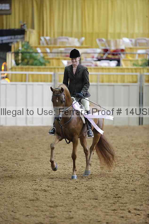 Proof 14usn_06386