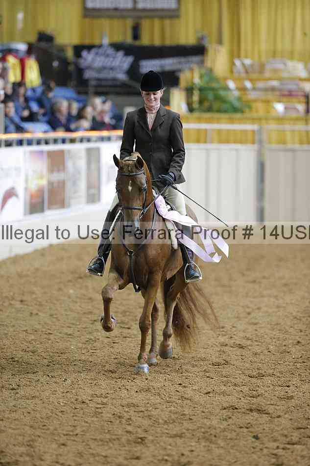 Proof 14usn_06387
