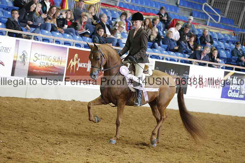 Proof 14usn_06388