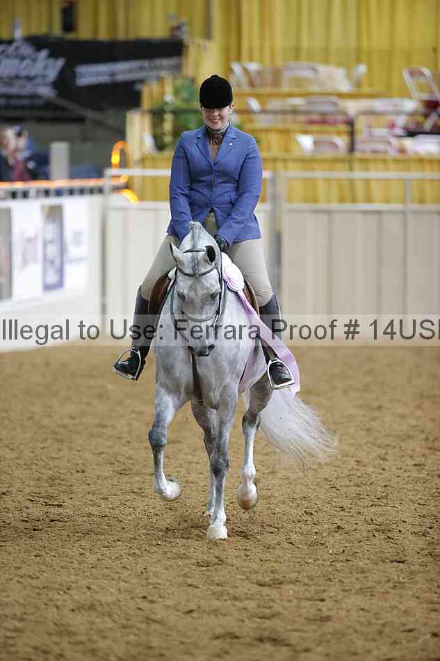 Proof 14usn_06391