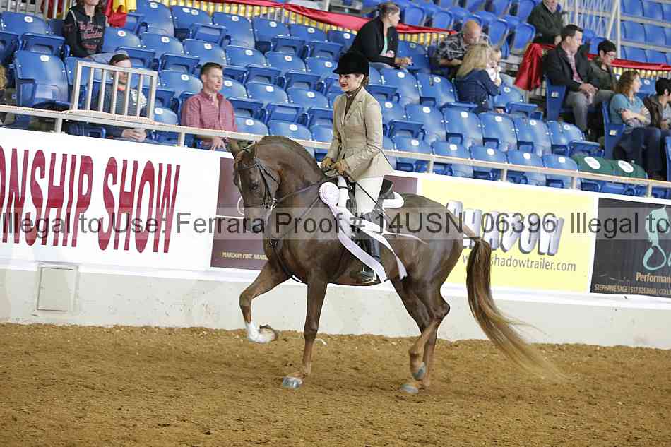 Proof 14usn_06396