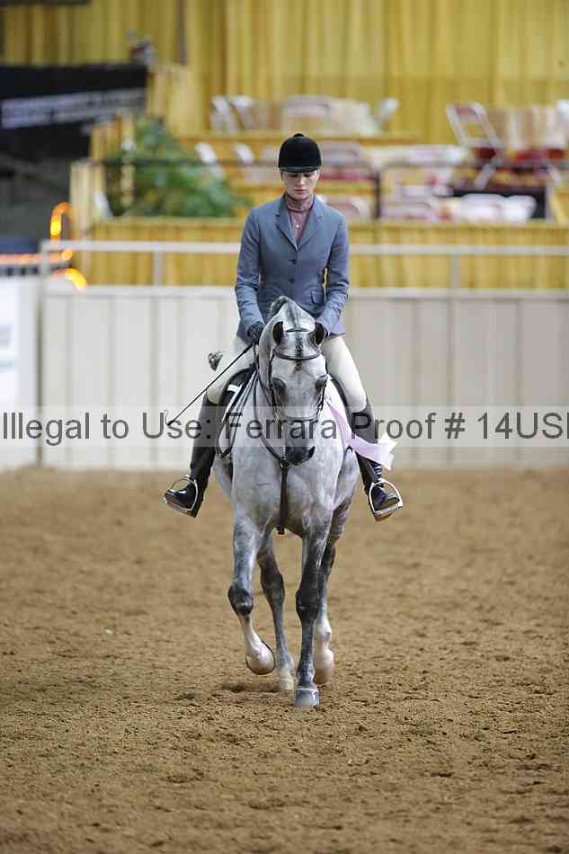 Proof 14usn_06398