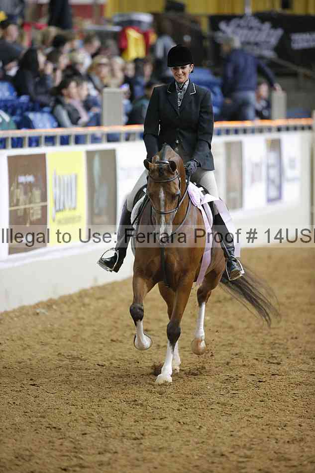 Proof 14usn_06403