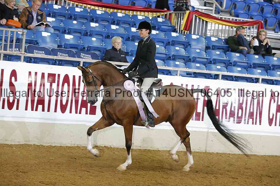 Proof 14usn_06405