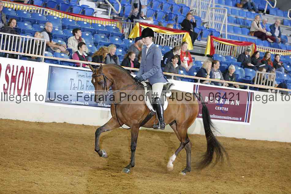 Proof 14usn_06421